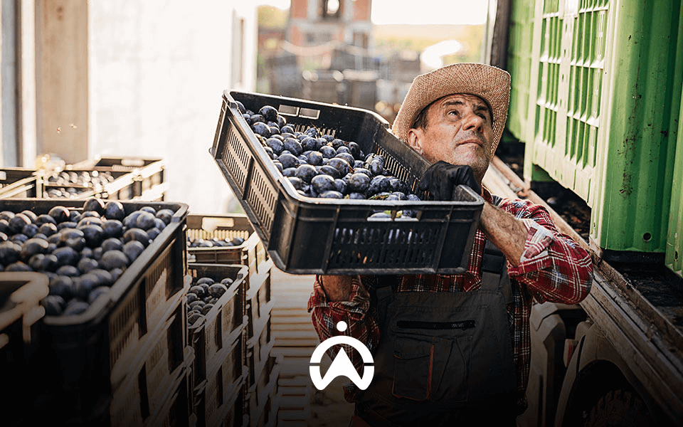 This Is How Fleet Management Can Ensure a Successful Agro-Processing Business