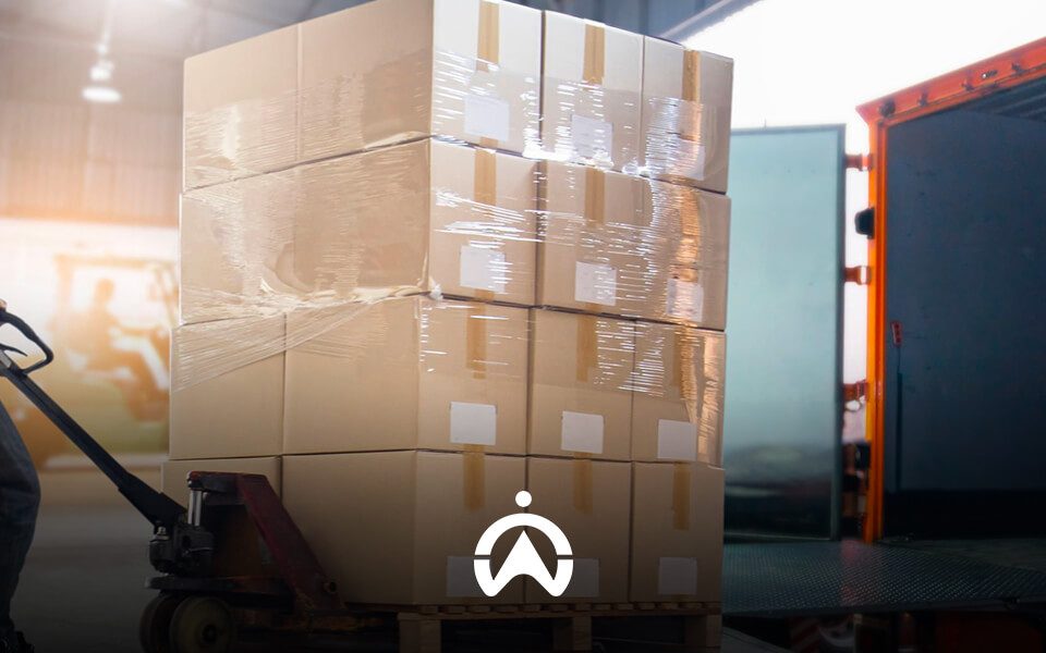 Fleet_Management_for_Wholesale_and_Distribution_services