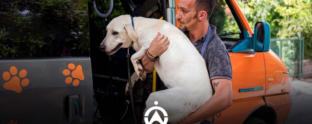 Field_Service_Management_Software_for_Mobile_Dog_Parlour_Companies