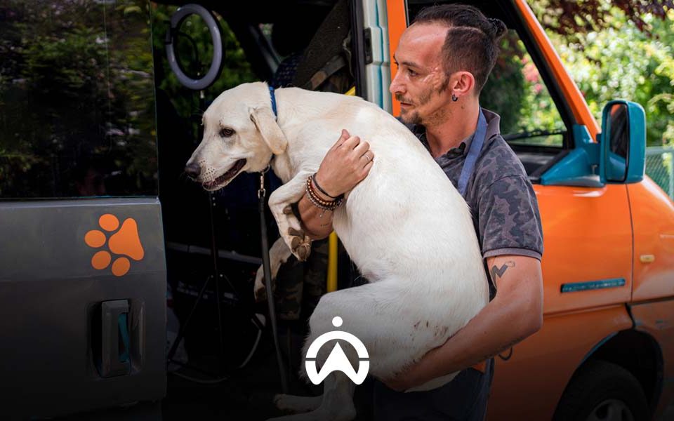 Field_Service_Management_Software_for_Mobile_Dog_Parlour_Companies